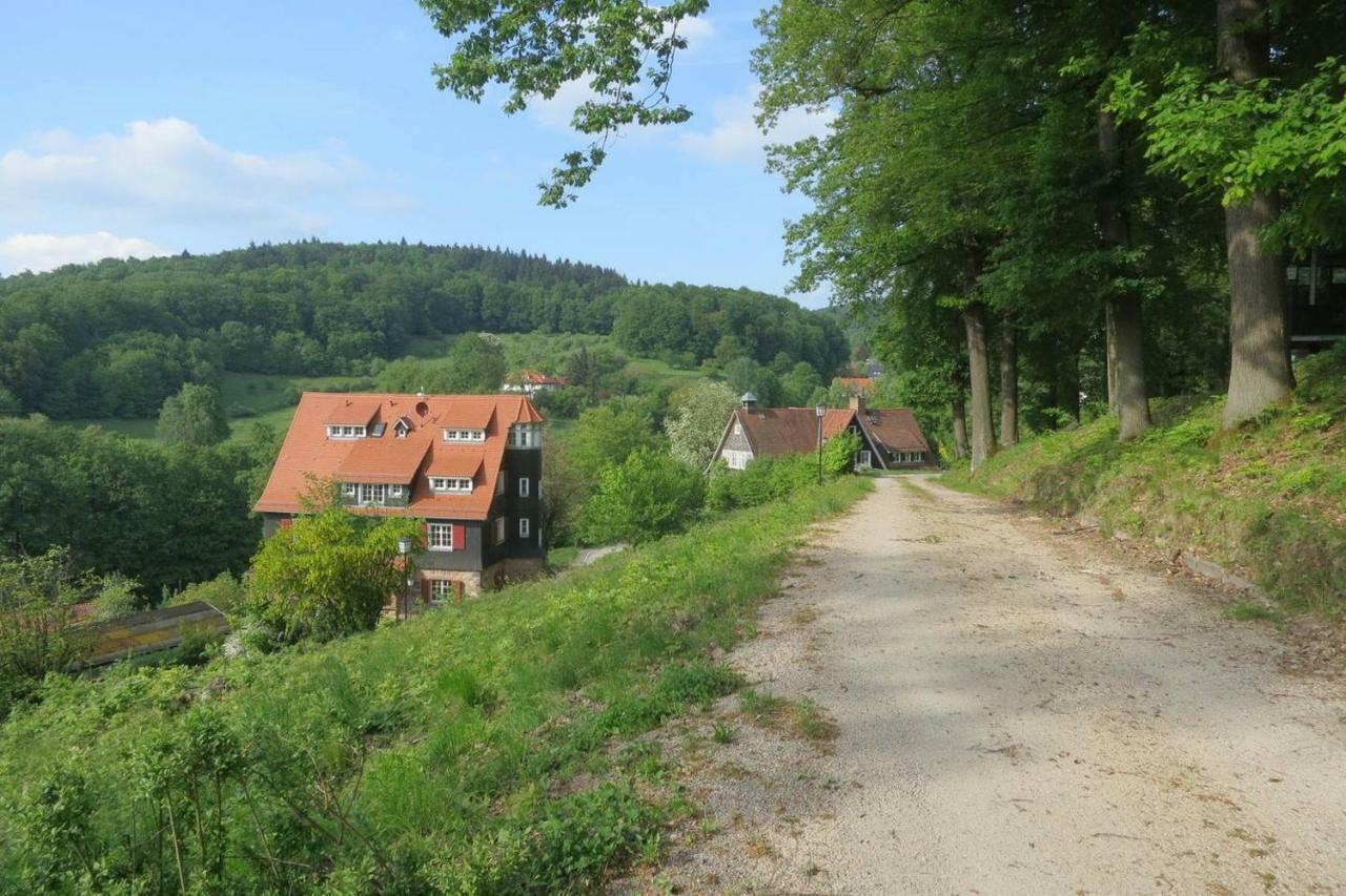 Waldblick Appartement Ober-Hambach Dış mekan fotoğraf