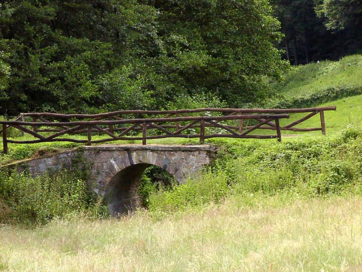 Waldblick Appartement Ober-Hambach Dış mekan fotoğraf