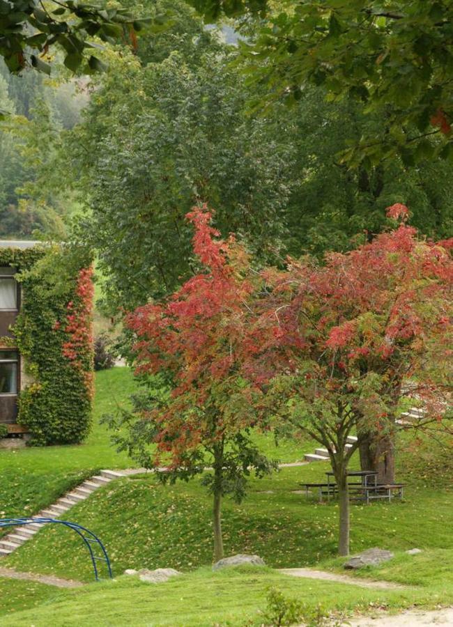 Waldblick Appartement Ober-Hambach Dış mekan fotoğraf