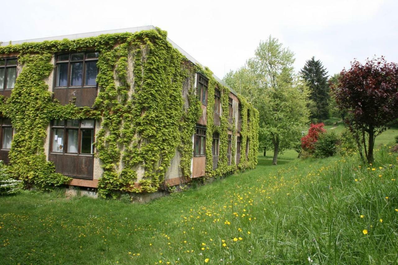 Waldblick Appartement Ober-Hambach Dış mekan fotoğraf