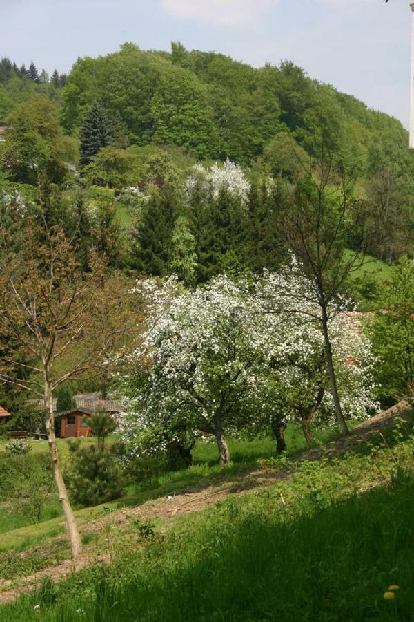 Waldblick Appartement Ober-Hambach Dış mekan fotoğraf